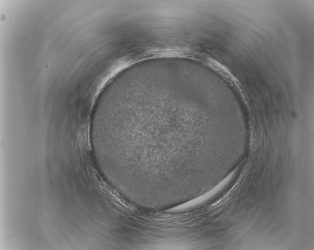 X0000059101174200510172112