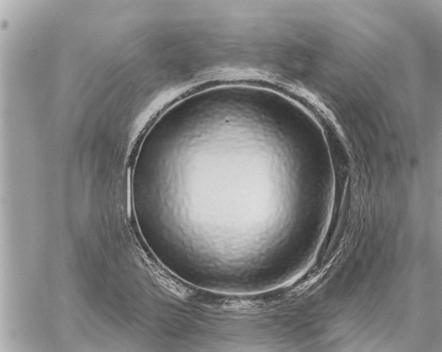 X0000059101175200510172112