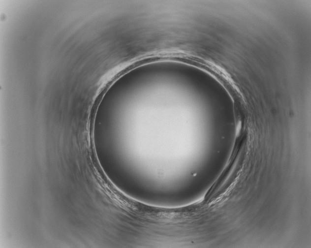 X0000059101176200510172112