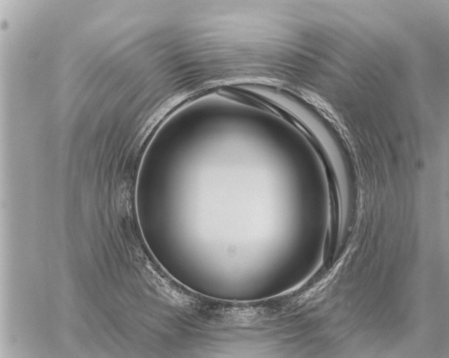 X0000059101177200510172112