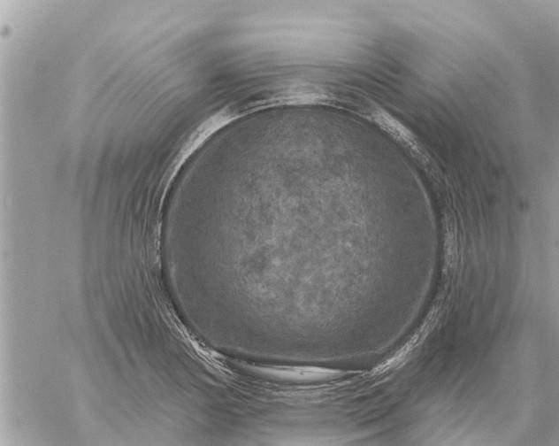 X0000059101178200510172112