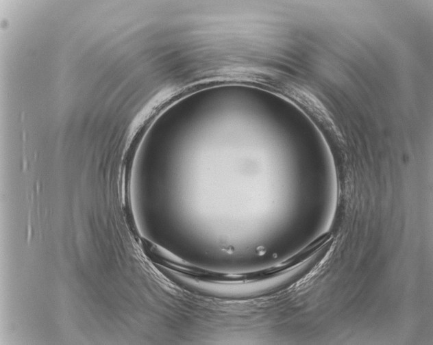 X0000059101180200510172112