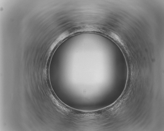 X0000059101181200510172112