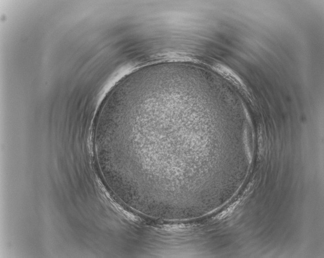 X0000059101182200510172112