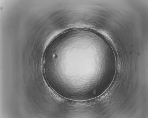 X0000059101183200510172112