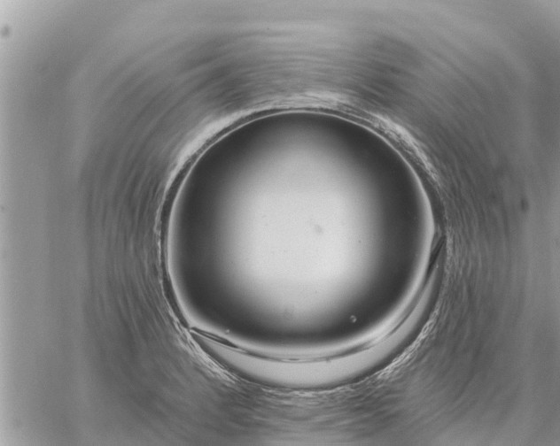 X0000059101184200510172112