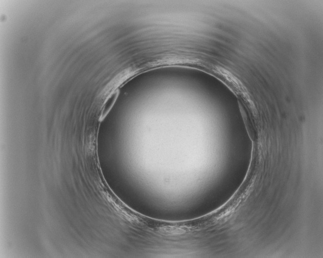 X0000059101185200510172112