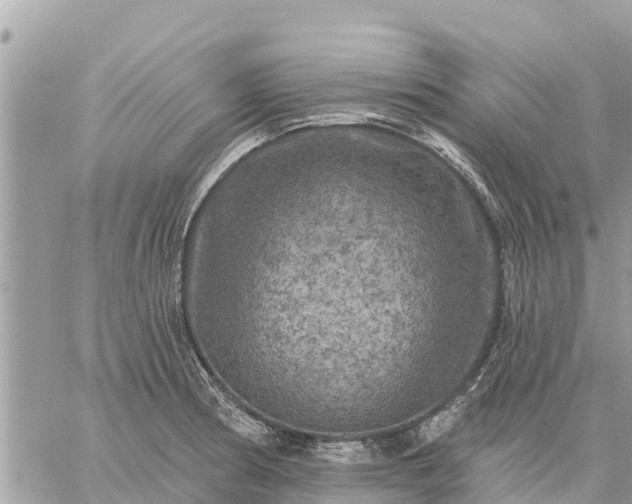 X0000059101186200510172112