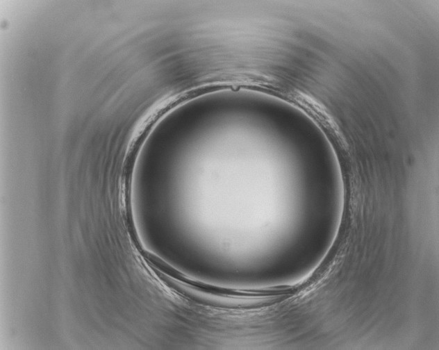 X0000059101188200510172112