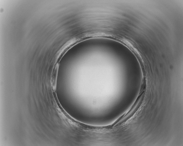 X0000059101189200510172112