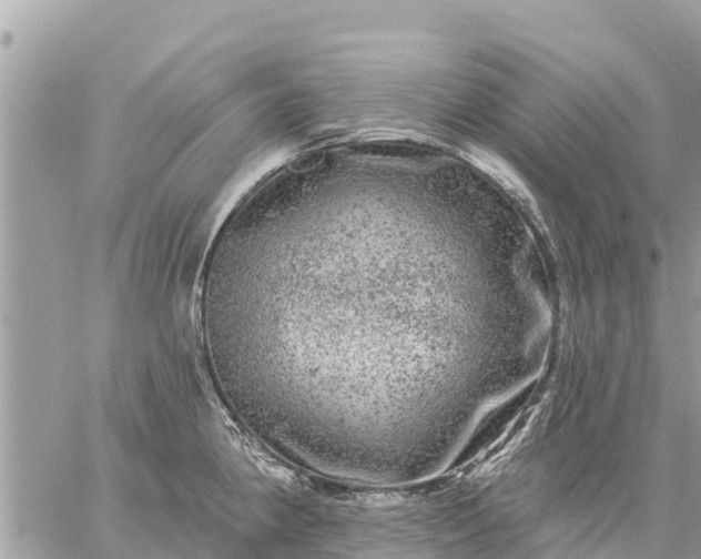 X0000059101190200510172112