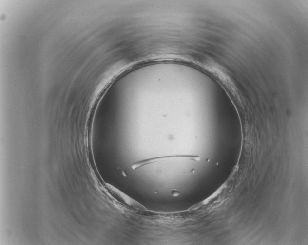 X0000059101191200510172112