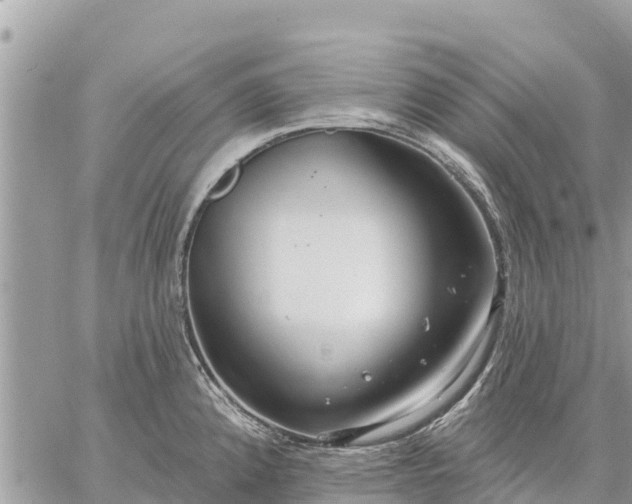 X0000059101192200510172112