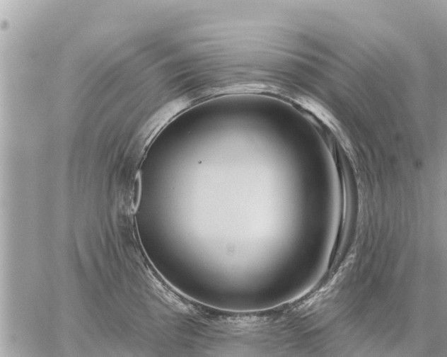 X0000059101193200510172112