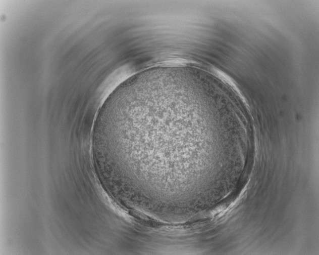 X0000059101194200510172112