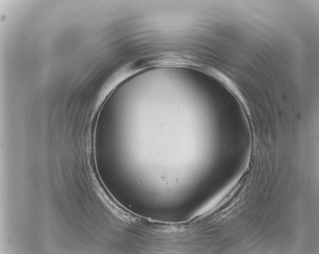 X0000059101195200510172112