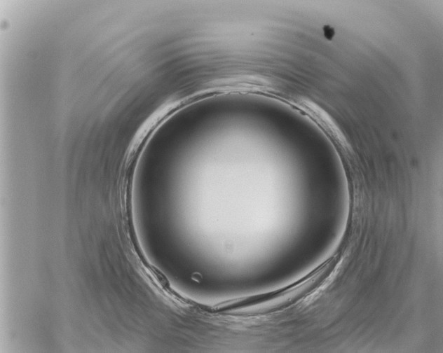 X0000059101196200510172112