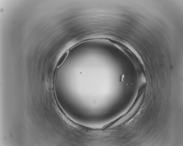 X0000059101197200510172112