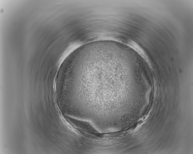 X0000059101198200510172112