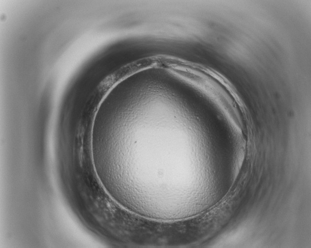 X0000059101199200510172112