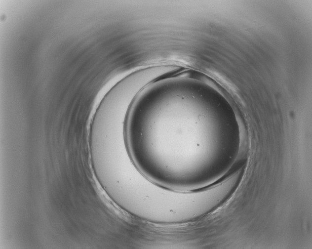 X0000059101200200510172112