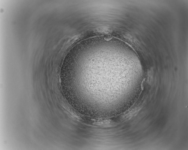 X0000059101201200510172111