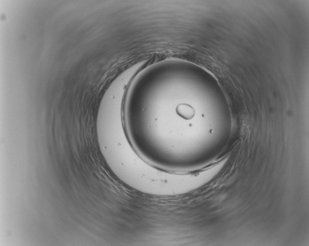 X0000059101202200510172111