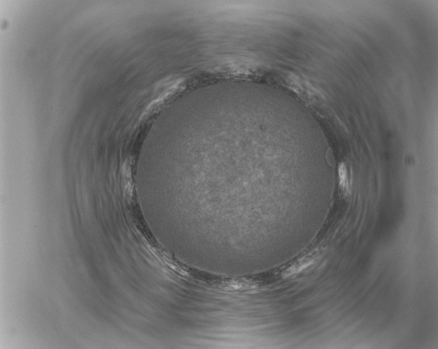 X0000059101203200510172111