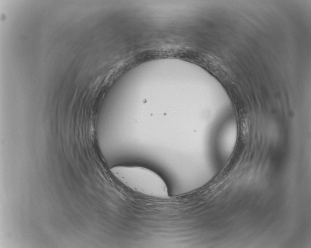 X0000059101204200510172111