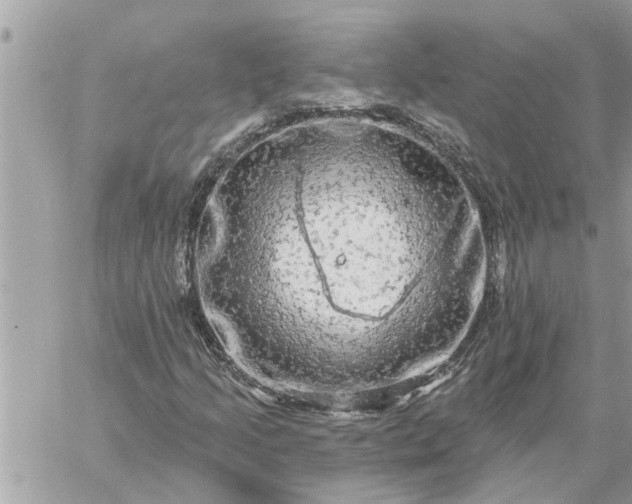 X0000059101205200510172111