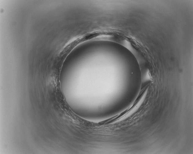 X0000059101206200510172111