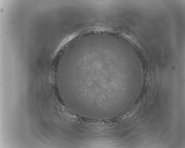 X0000059101207200510172111