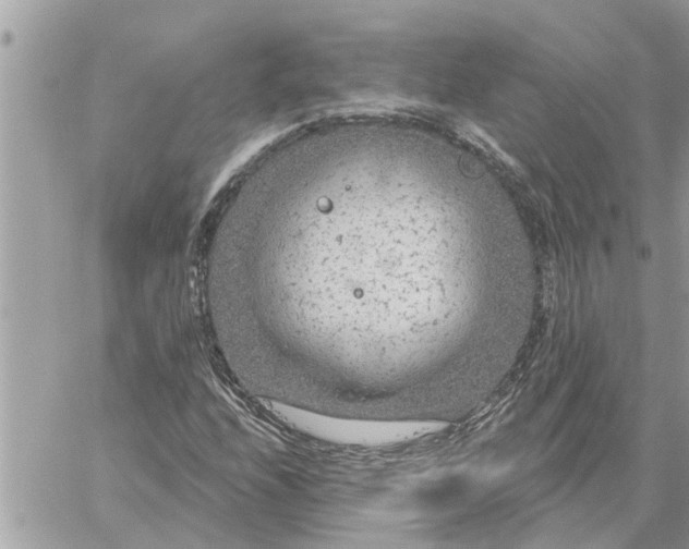 X0000059101208200510172111