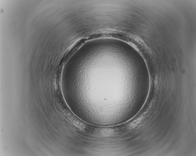 X0000059101209200510172111