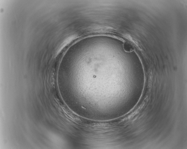 X0000059101211200510172111