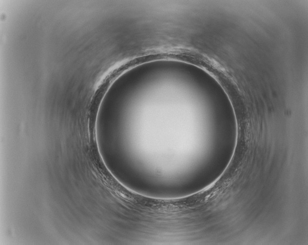 X0000059101214200510172111