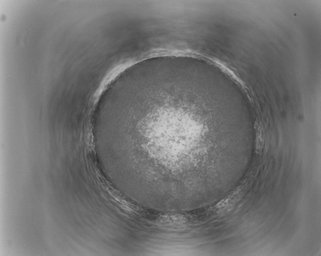 X0000059101215200510172111