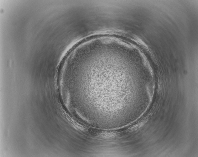 X0000059101216200510172111