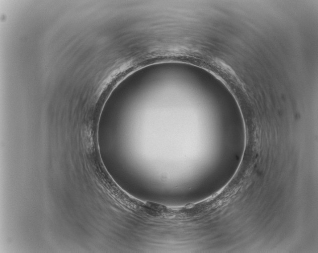 X0000059101218200510172111