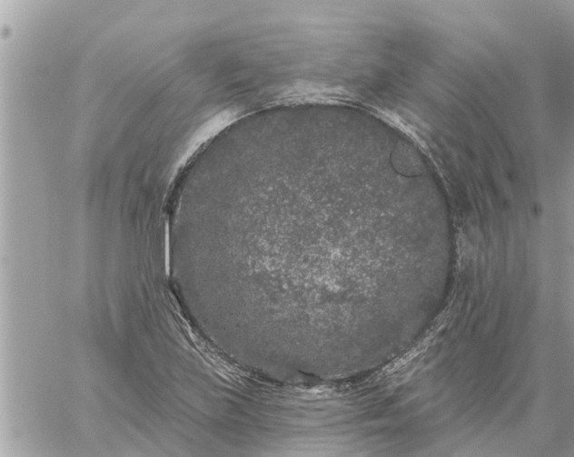 X0000059101219200510172111