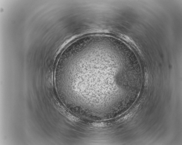 X0000059101220200510172111