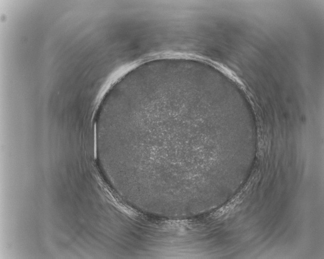 X0000059101223200510172111