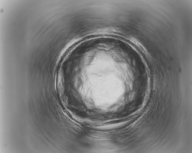 X0000059101224200510172111