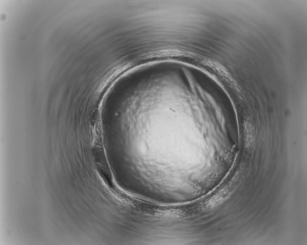 X0000059101225200510172111