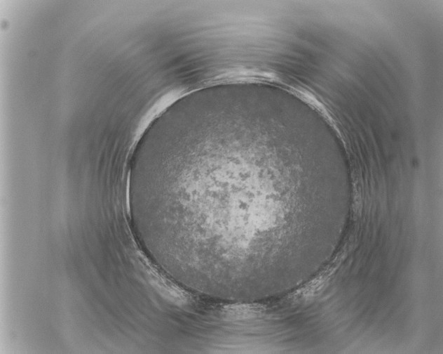 X0000059101227200510172111