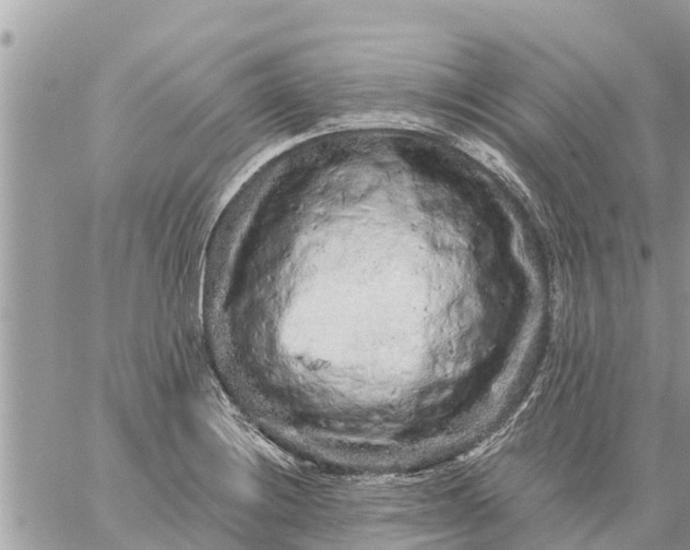 X0000059101228200510172111