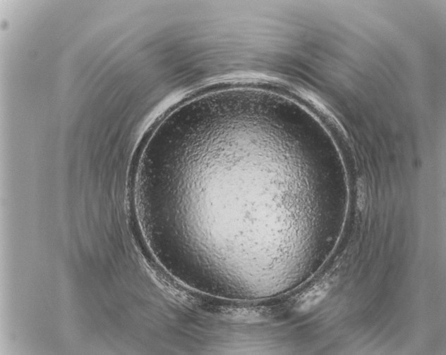 X0000059101229200510172111