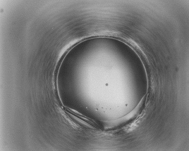 X0000059101230200510172111