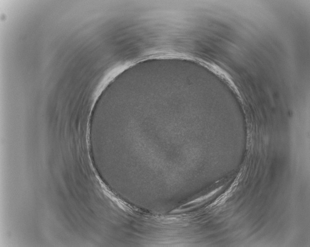 X0000059101231200510172111