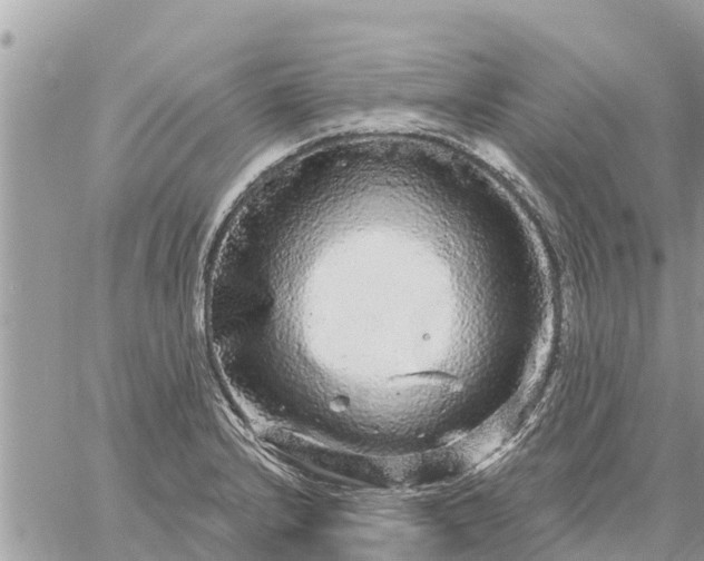 X0000059101232200510172112